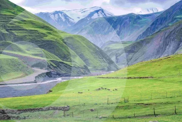 برنامج سياحي في أذربيجان ( 5 أيام 4 ليالي ) ( باكو – غابالا ) شركة عين أذربيجان دليل النقل في اذربيجان